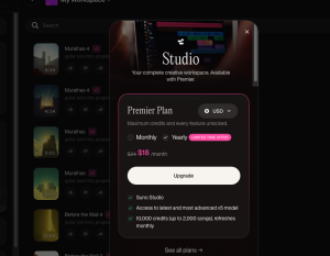 Mouse sem fio seminovo